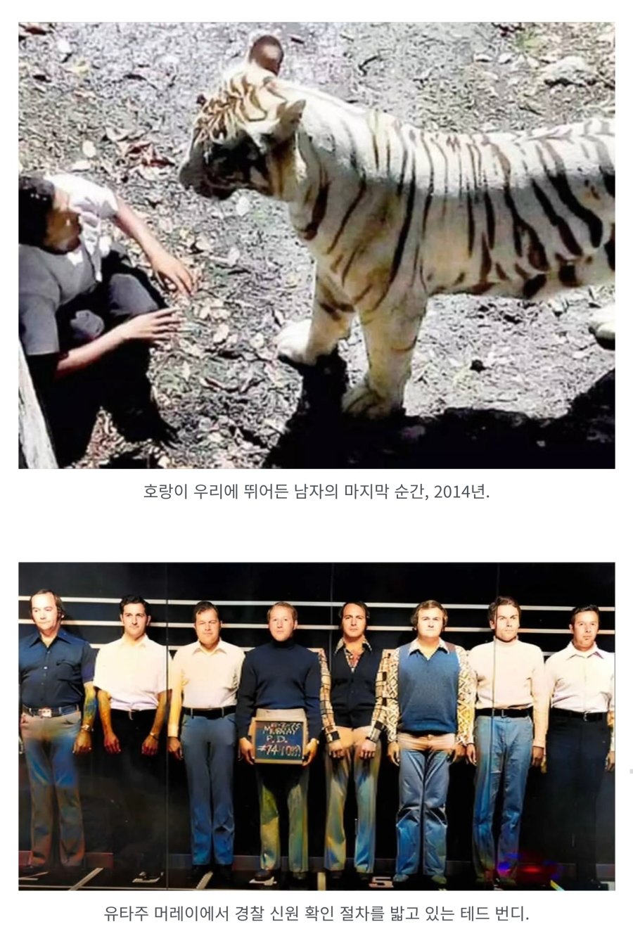 역대 가장 소름 끼치는 사진 81개