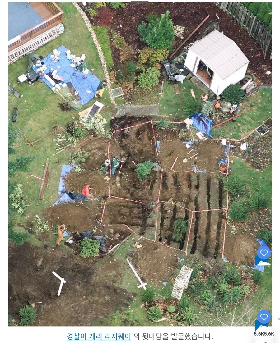 역대 가장 소름 끼치는 사진 81개