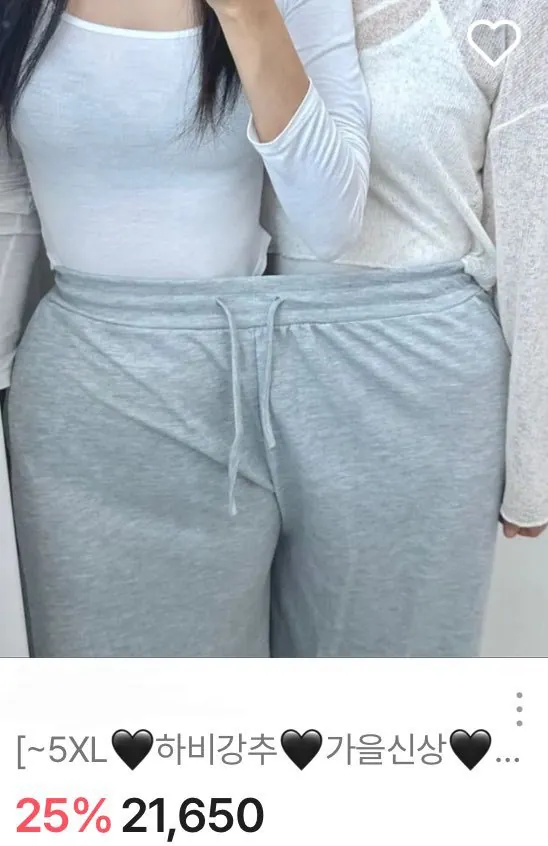 여성 빅사이즈 의류몰 제품사진 레전드