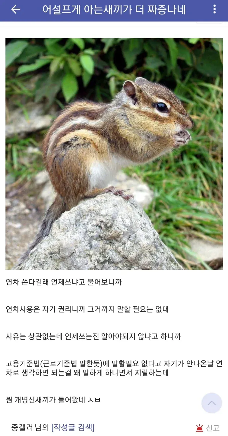 어설프게 아는 ㅅㄲ가 더 짜증남