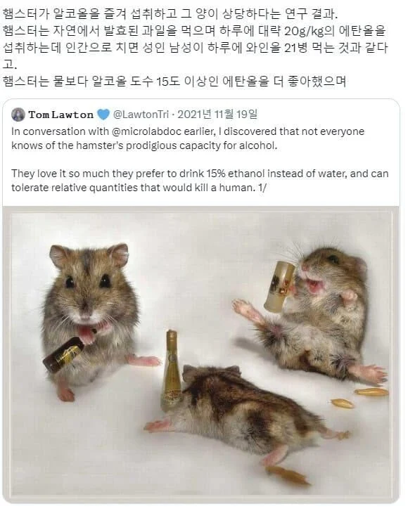 의외로 술고래인 생물