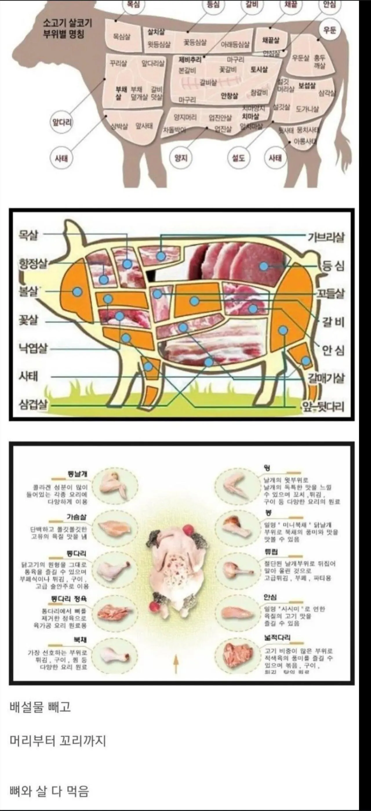 뭐든지 잘 먹는 한국인들
