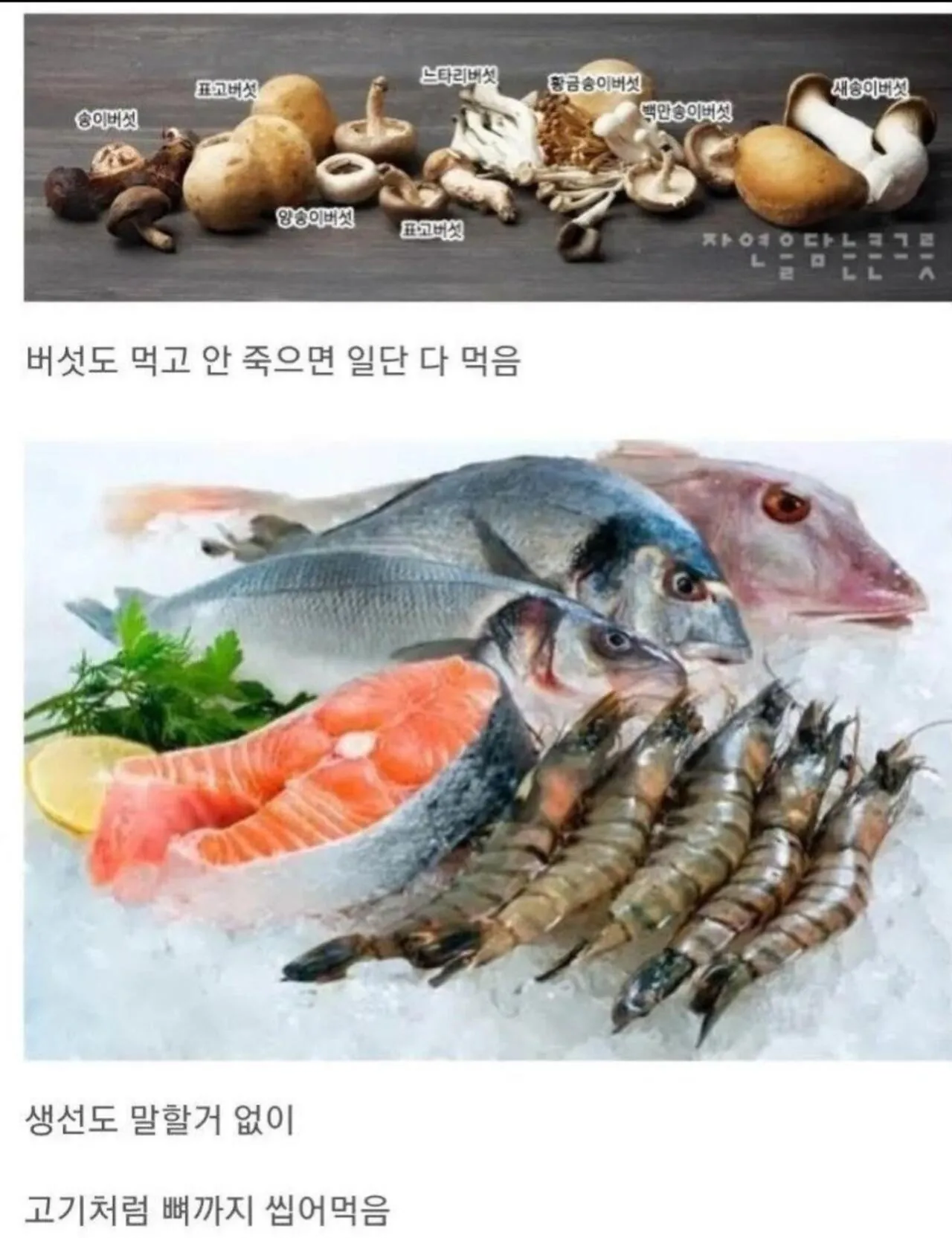 뭐든지 잘 먹는 한국인들