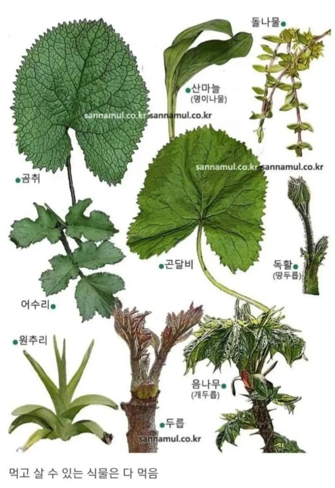 뭐든지 잘 먹는 한국인들