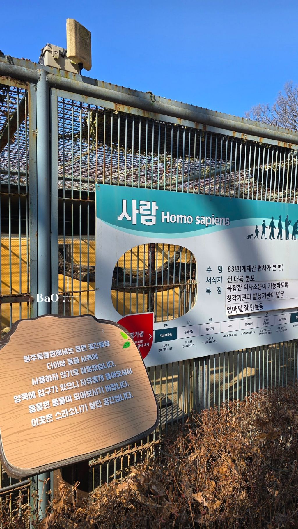 청주 동물원에서 볼 수 있는 동물