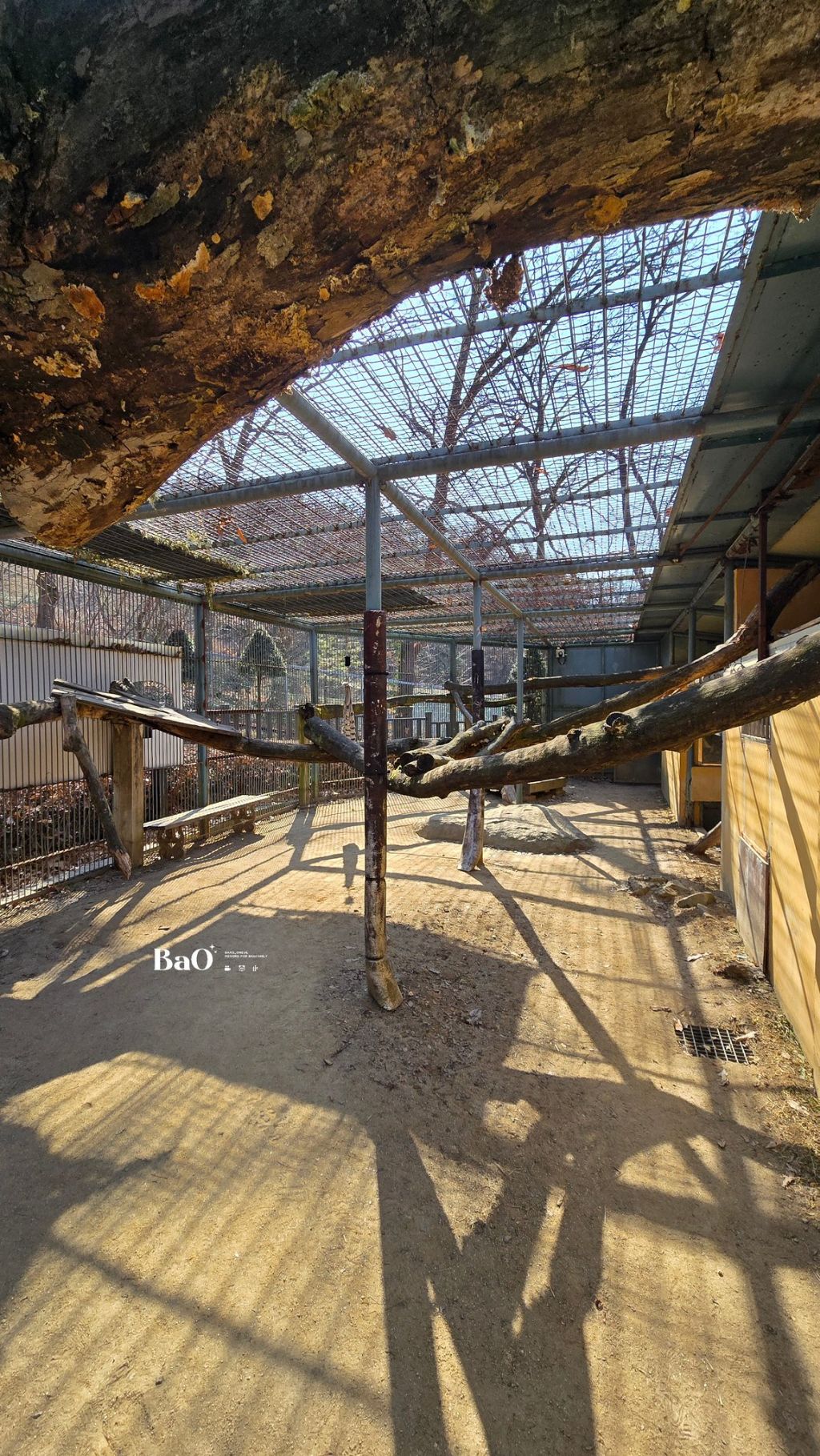 청주 동물원에서 볼 수 있는 동물