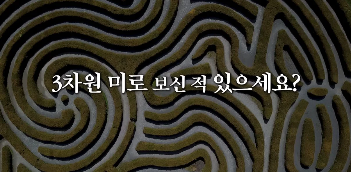 교수가 말하는 한국 반도체가 강한 이유