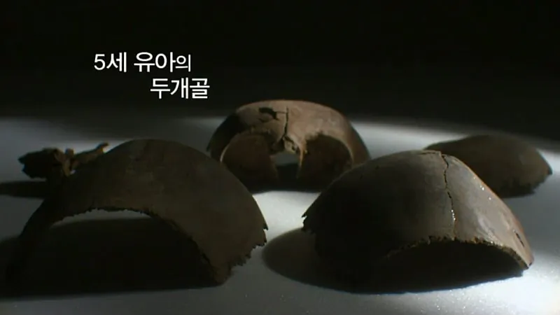 분노주의) 임진왜란때 왜군의 학살 수준