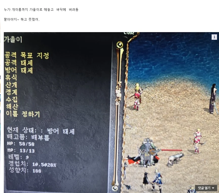 리니지 클래식에 나타난 동물유기범