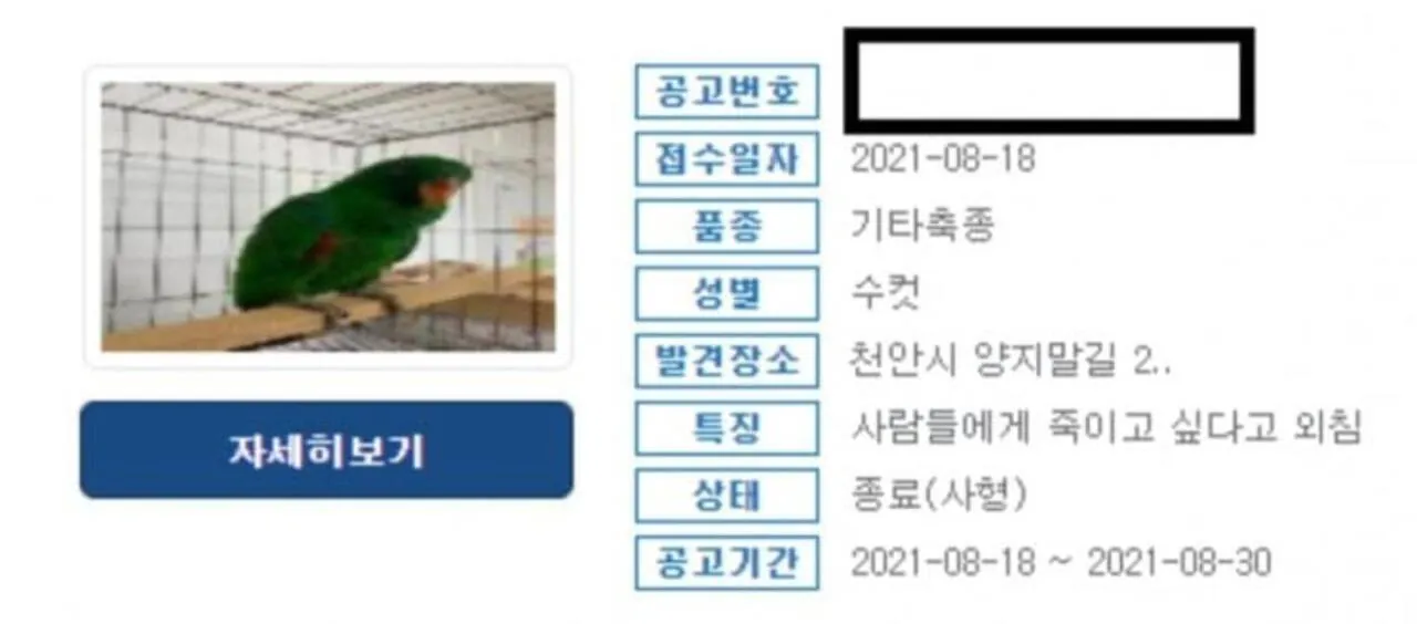 "동물이나 괴롭히는 쓰레기들 다 죽어"