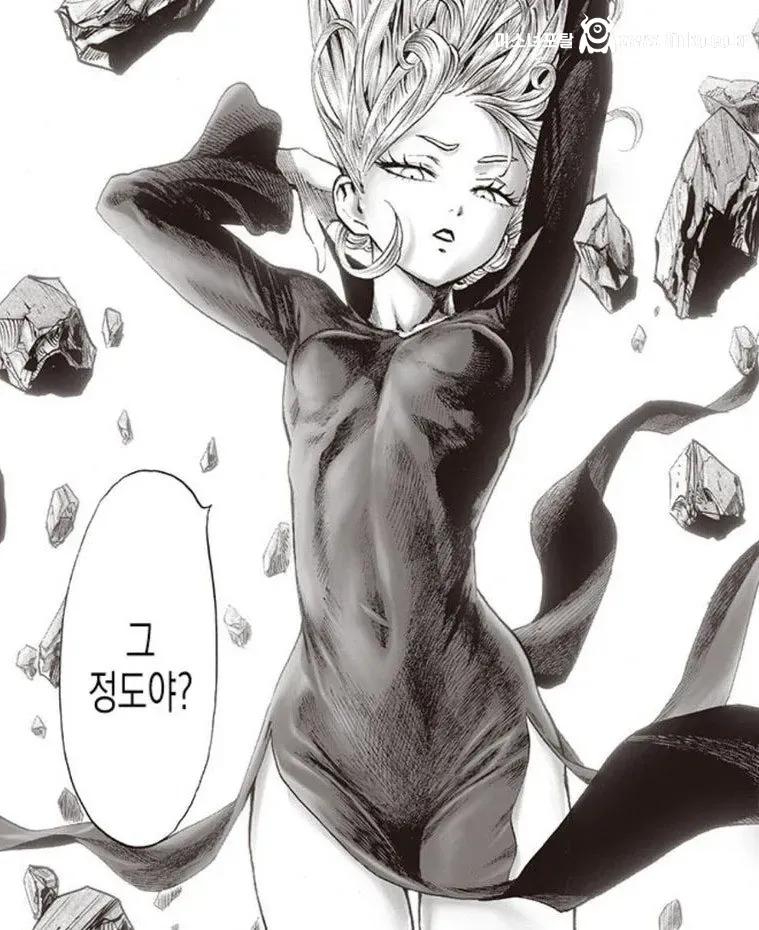 취향 갈린다는 원펀맨 히로인 자매