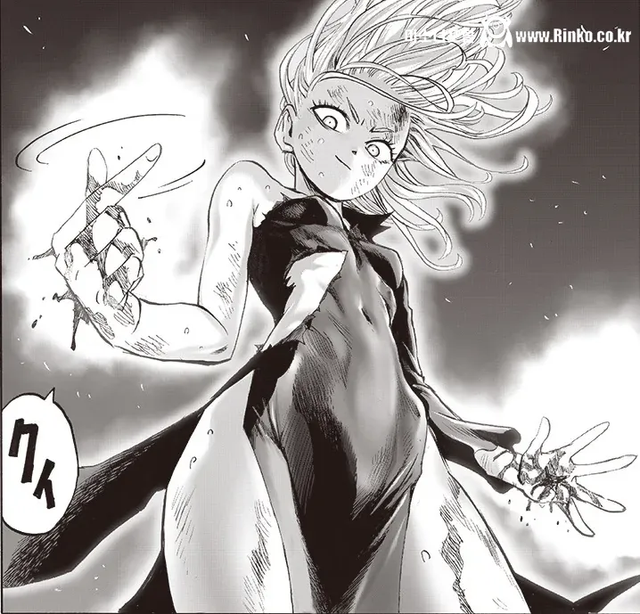 취향 갈린다는 원펀맨 히로인 자매