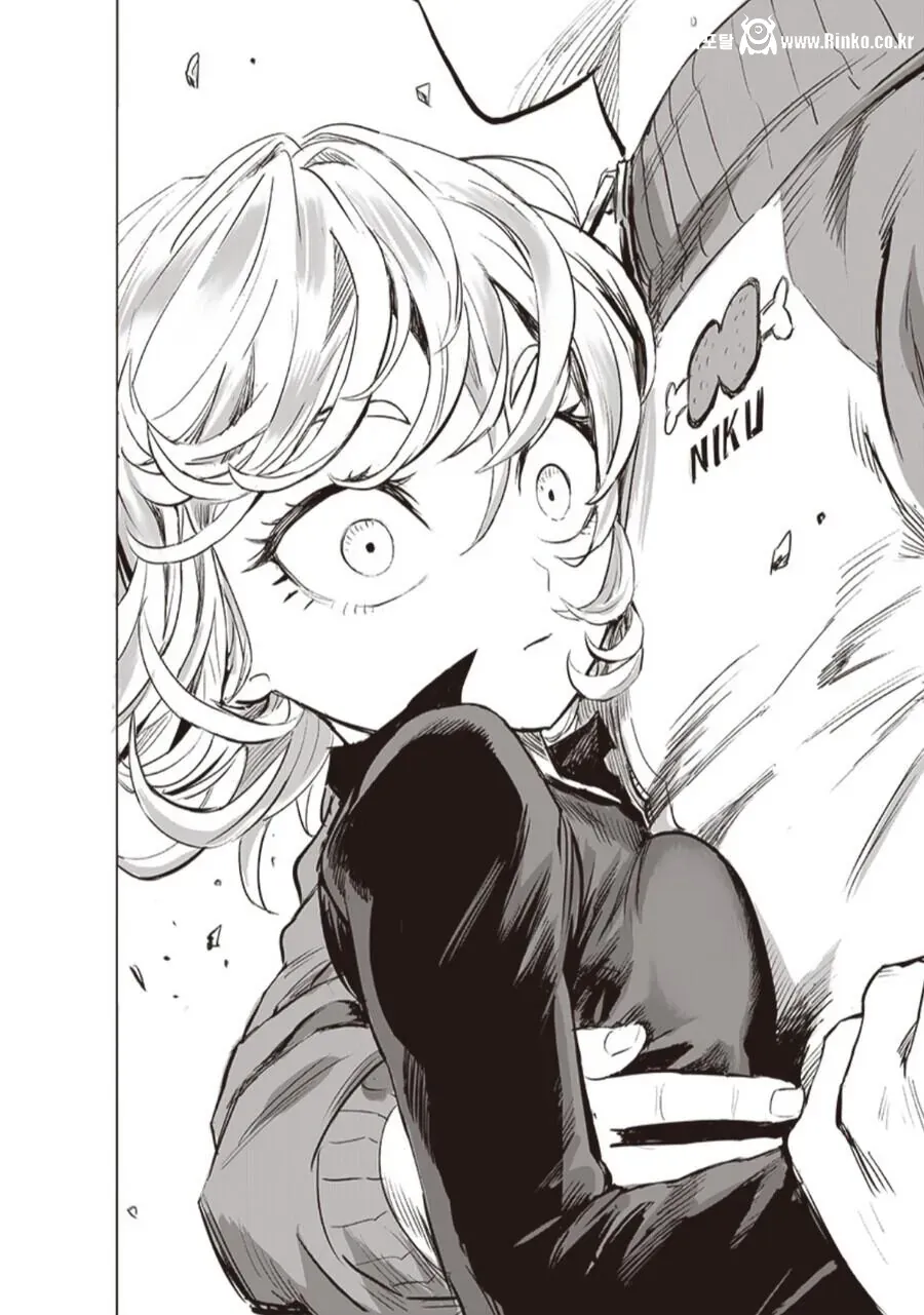 취향 갈린다는 원펀맨 히로인 자매