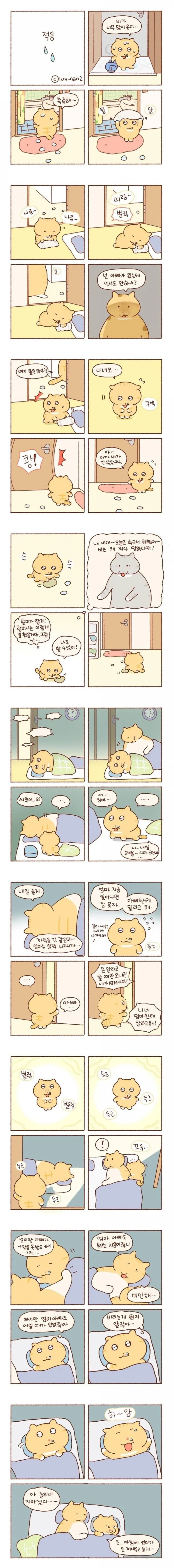 은근히 많다는 집안 사정 케이스