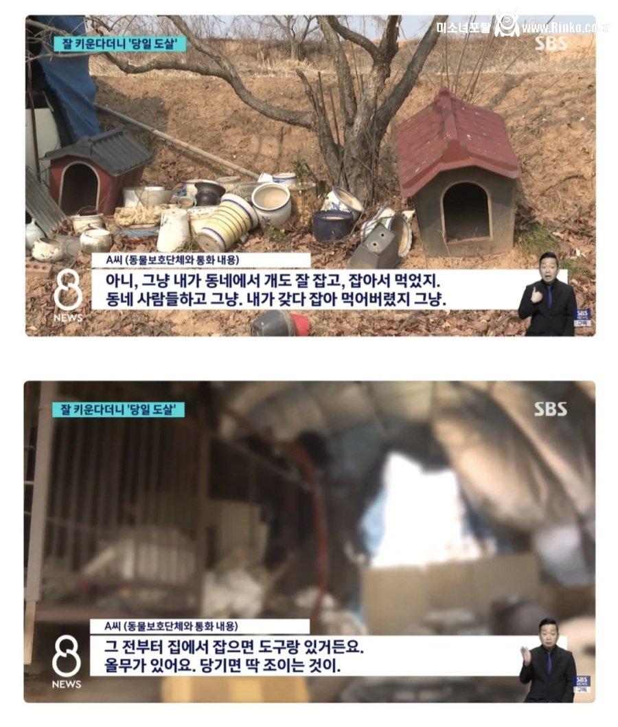 잘 키우겠다며 입양한 강아지 사건 전말 ㄷㄷ