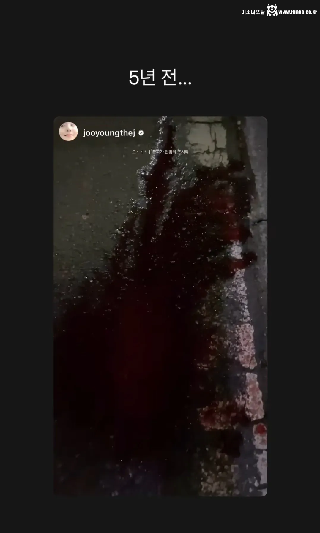 혐) 배우 차주영 건강상 이유로 활동 일시정지인데 사유가