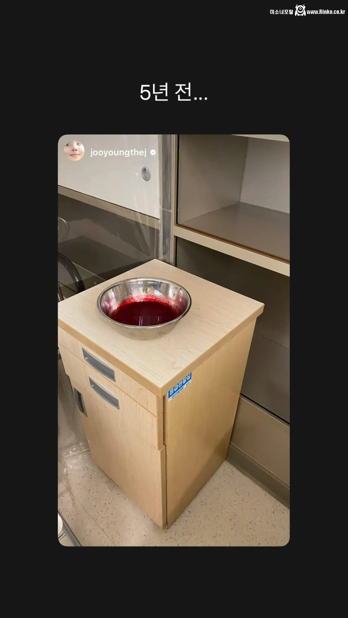 혐) 배우 차주영 건강상 이유로 활동 일시정지인데 사유가