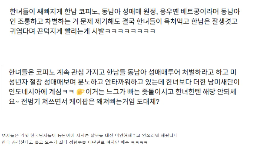 동남아 vs 트페미 대전 더쿠 반응