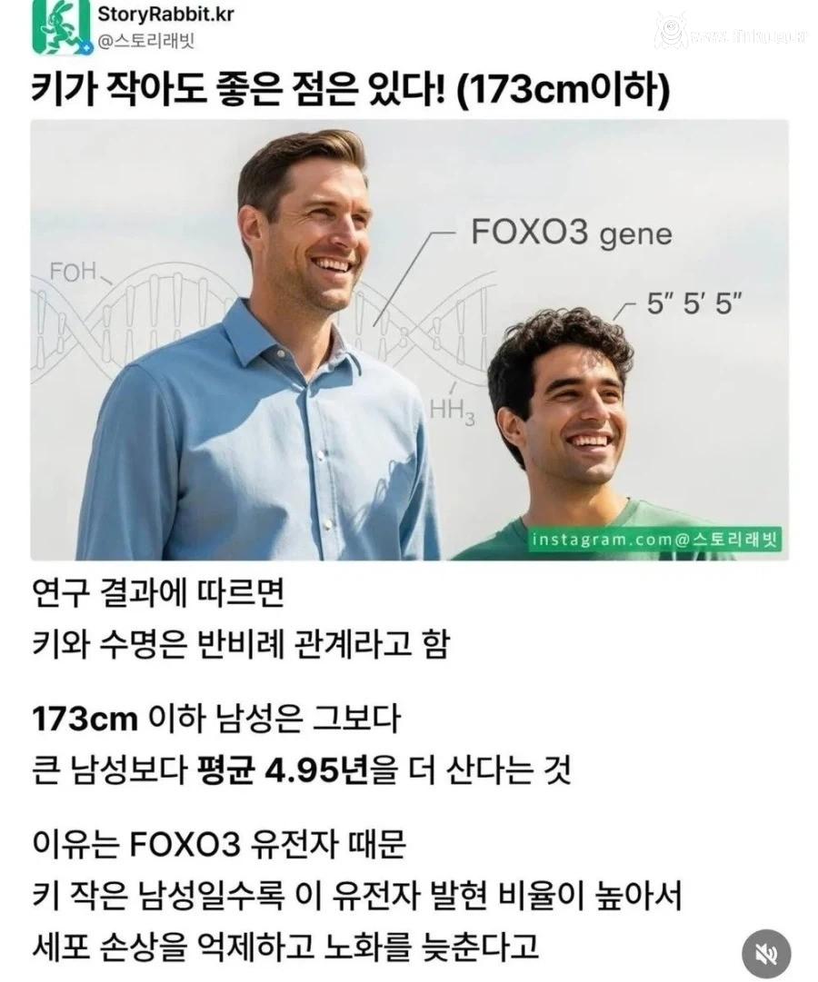 키 작아도 좋은 점이 있다 1