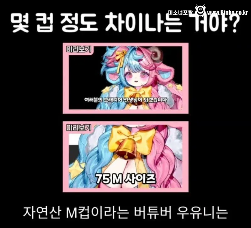 자신보다 더 큰 가슴을 본 버튜버 1