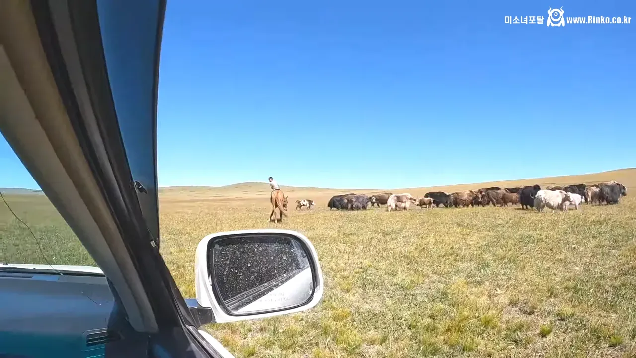몽골 제국 세계 정복의 역사적 배경과 원인 분석 2