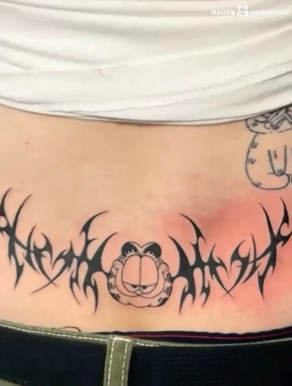 뒤치기 즐기려던 커플의 뜻밖의 목격담, 영상 내용 정리 12