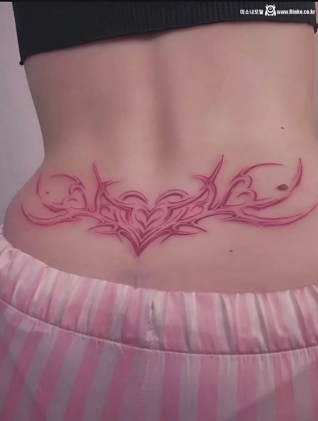 뒤치기 즐기려던 커플의 뜻밖의 목격담, 영상 내용 정리 14