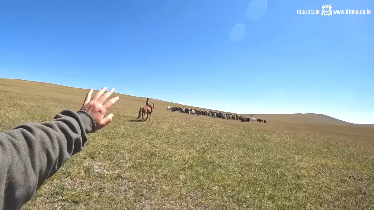 몽골 제국이 세계를 정복할 수 있었던 이유와 역사적 배경 분석 5