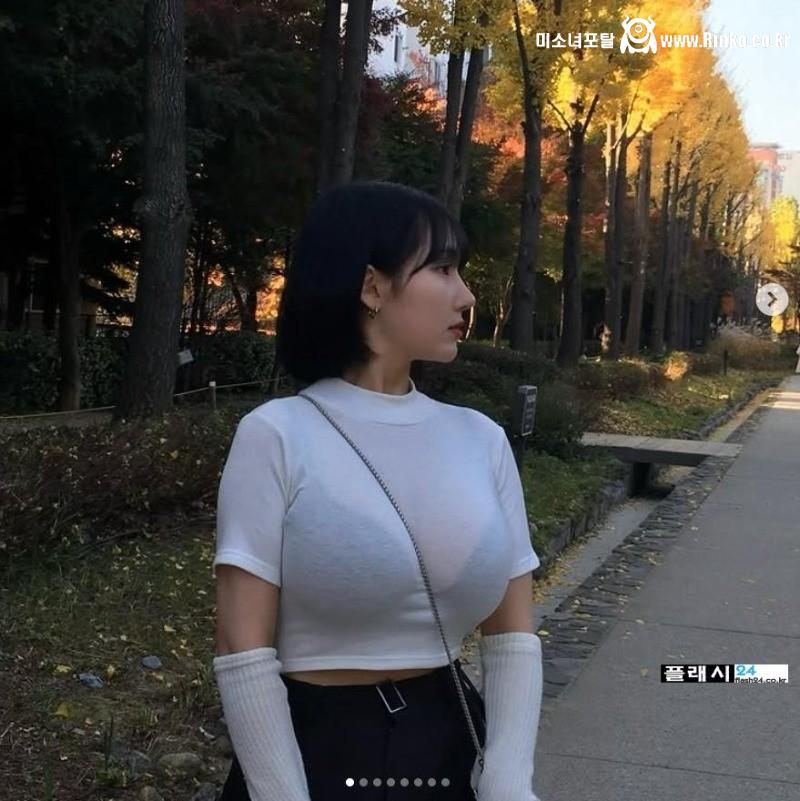 [안아랑] 인플루언서 안아랑의 폭력적 논란과 사회적 영향에 대한 고찰 4