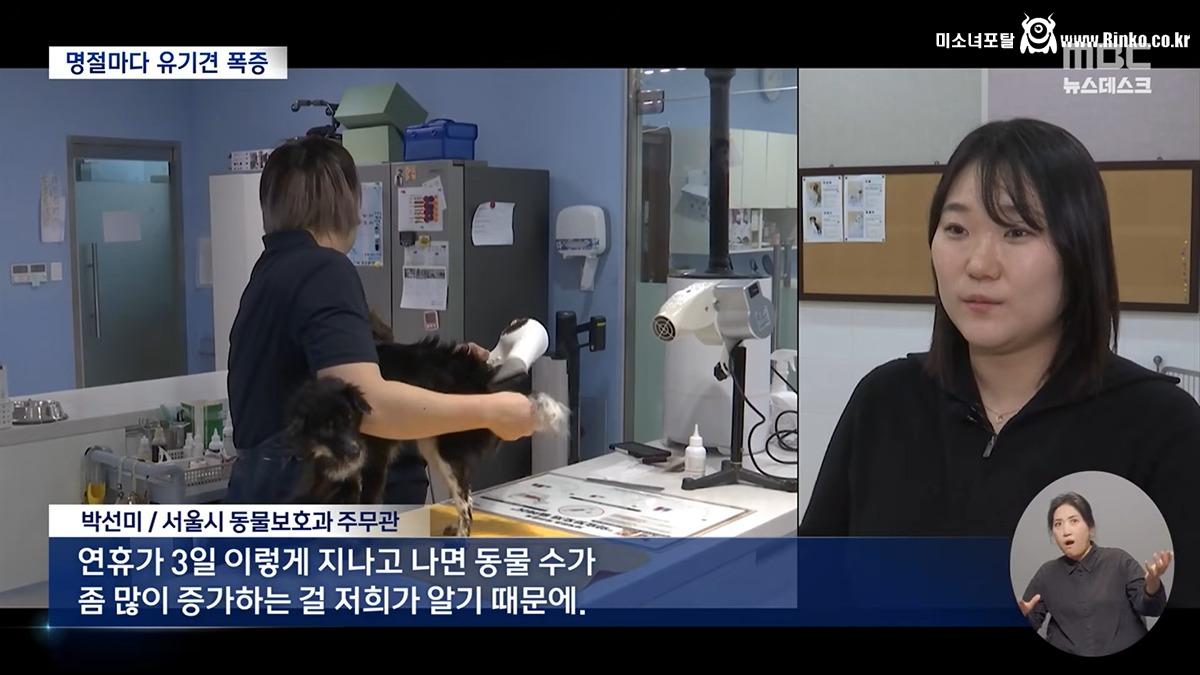설·추석에 버려진 반려동물 6천 마리 3