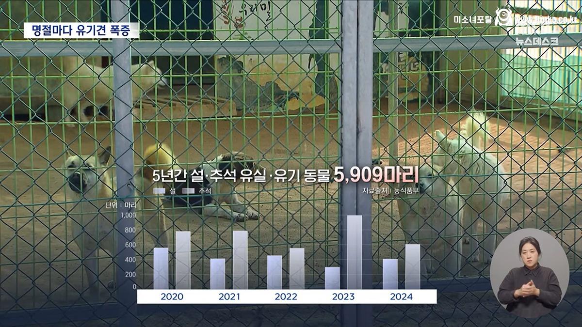 설·추석에 버려진 반려동물 6천 마리 5