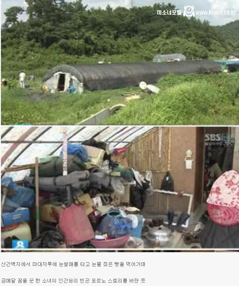 대한민국 불편충들이 원하는 최가온이 사는 집 2