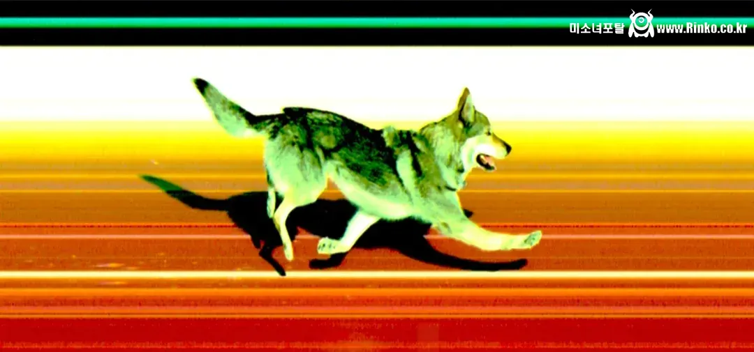 올림픽 크로스컨트리 경기도중 관객 난입 사건 발생 1