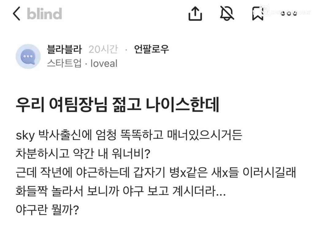 박사 출신에 젊고 나이스한 여자 팀장님이 욕하는 이유 1