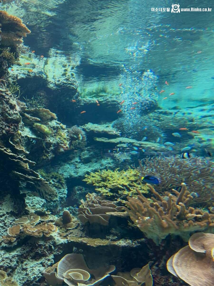 카리나 전남친 이재욱 1인칭시점 체감샷 8