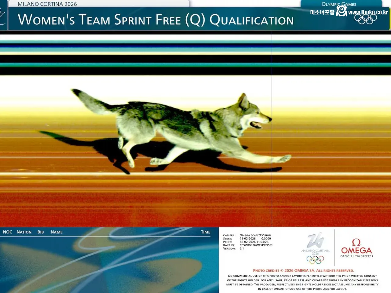 댕댕이 난입으로 뽕 뽑는 올림픽 중계팀ㅋㅋㅋㅋ 1