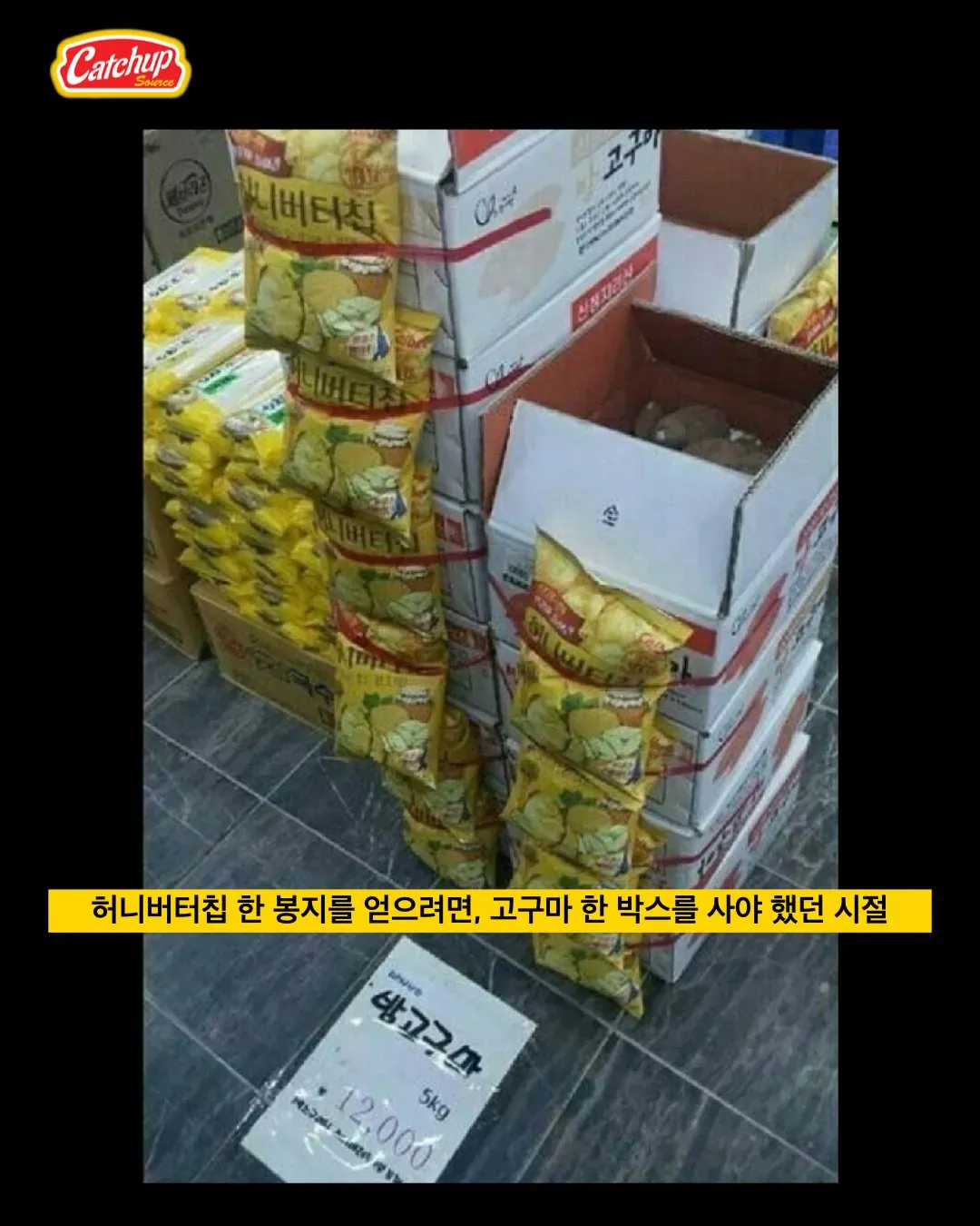 대한민국 유행 식품 최고점