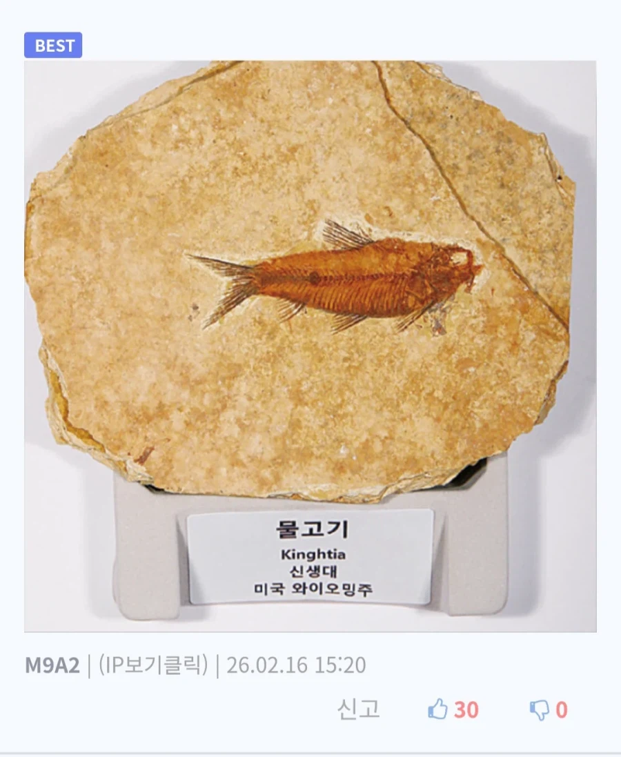 충청도식 제사음식 타지인 반응