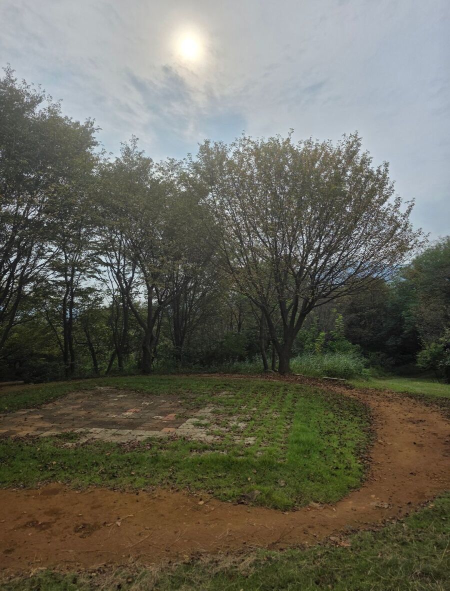 중딩 때 남자 똥구멍 쑤신 썰