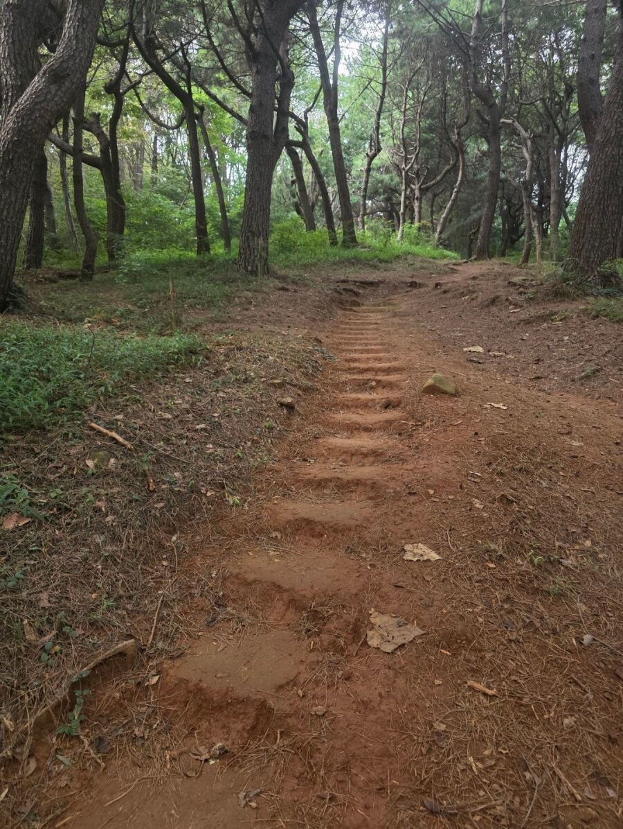 중딩 때 남자 똥구멍 쑤신 썰