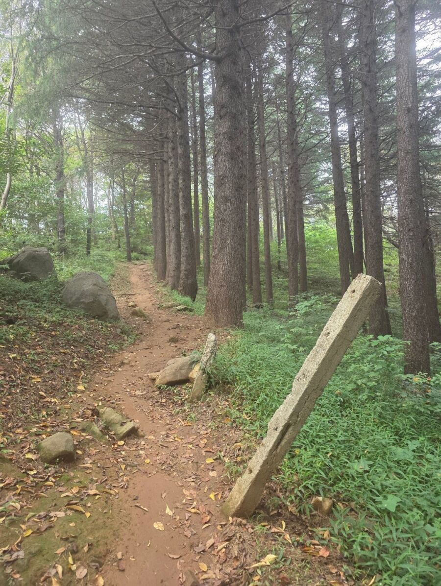 중딩 때 남자 똥구멍 쑤신 썰