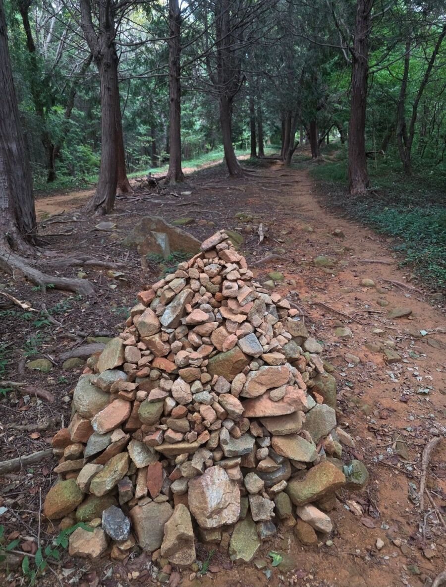 중딩 때 남자 똥구멍 쑤신 썰
