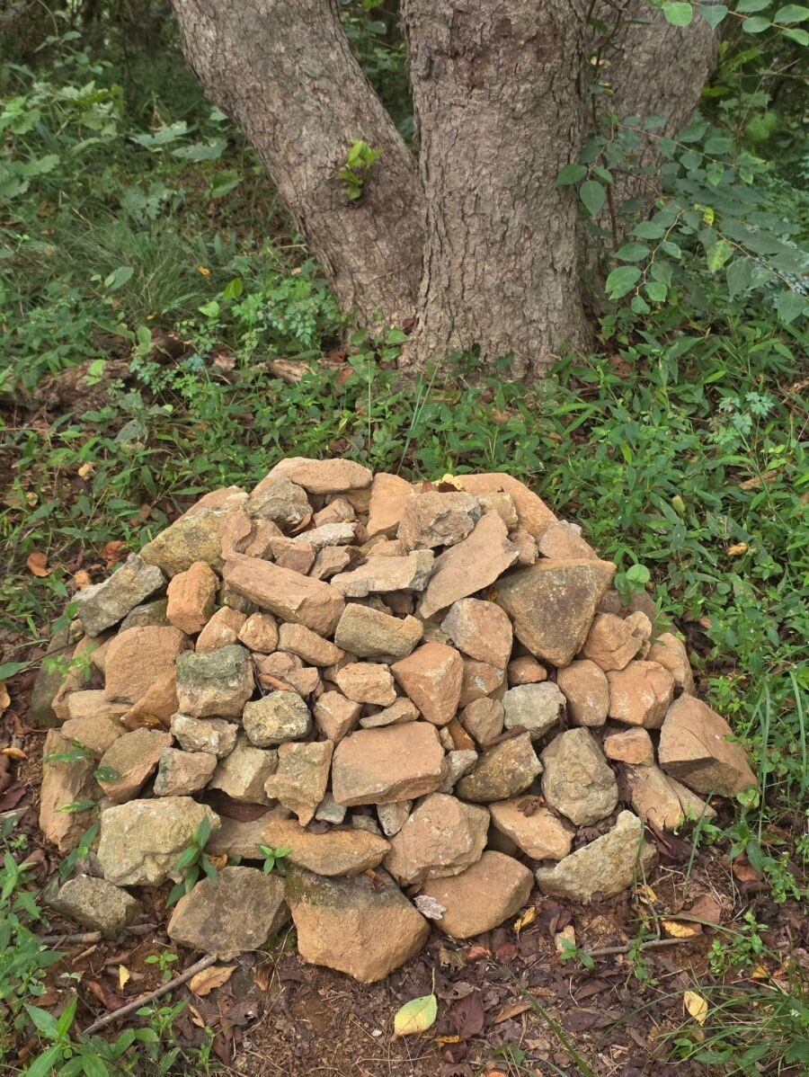 중딩 때 남자 똥구멍 쑤신 썰