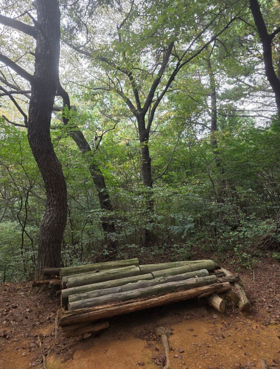 중딩 때 남자 똥구멍 쑤신 썰