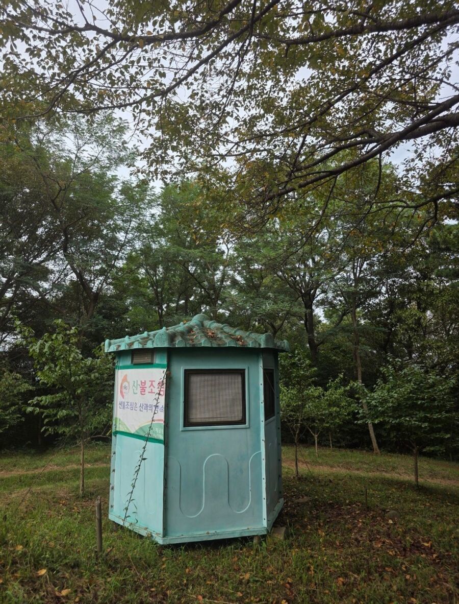 중딩 때 남자 똥구멍 쑤신 썰