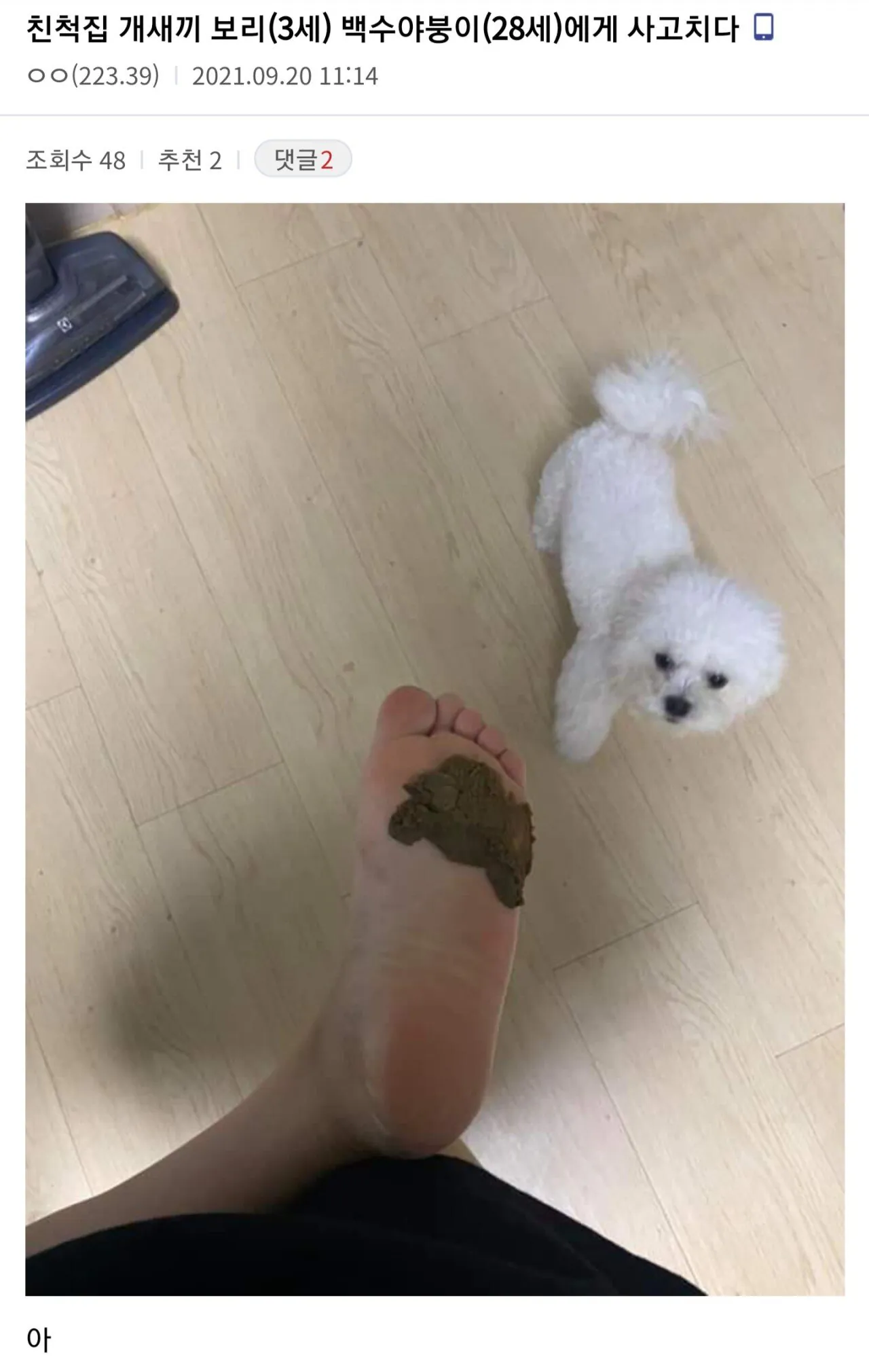 다시보는 디씨 명절 레전드 ㅋㅋㅋ