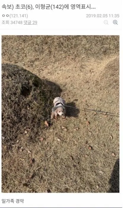 다시보는 디씨 명절 레전드 ㅋㅋㅋ