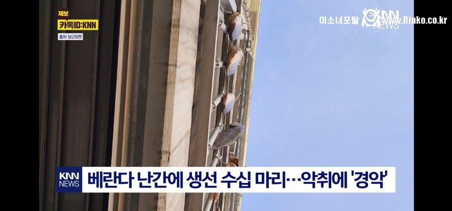 악취에 위층 올려다보니 경악 2