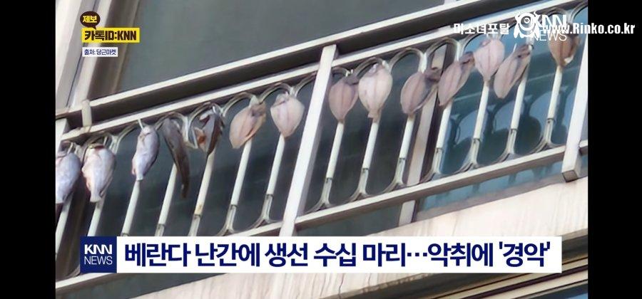 악취에 위층 올려다보니 경악 1