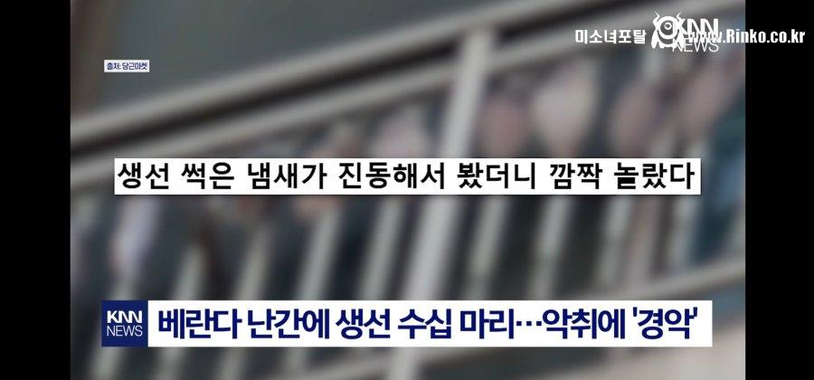 악취에 위층 올려다보니 경악 3